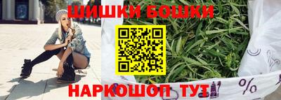 гидра Будённовск