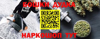 гидра Будённовск