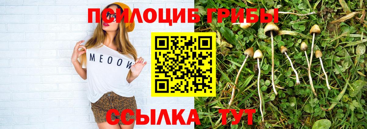 Галлюциногенные грибы мухоморы  Вход с VPN  Галлюциногенные грибы ЛСД  Киржач 