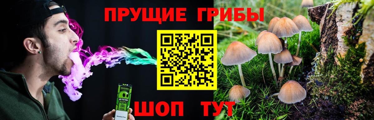 ГАШИШ Киржач